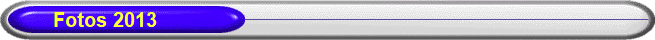         Fotos 2013
