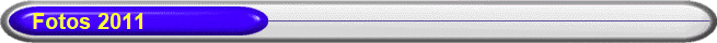     Fotos 2011
